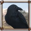 Crow Guide