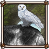 Snowy Owl (ticked)