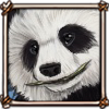 Panda Cub Trying Bamboo