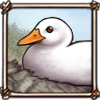 Comfy Duck