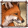 Northern Alaskan Fox