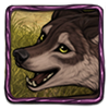 Wolf: Dera