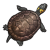 Legendary Catch - Bog Turtle