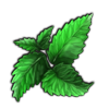 Nettle Leaves