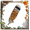 Remnant: Grouse Feather
