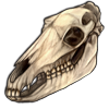 Horse Skull