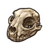 Lynx Skull